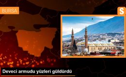 Deveci Armudu Hasadıyla Çiftçilerin Yüzü Güldü