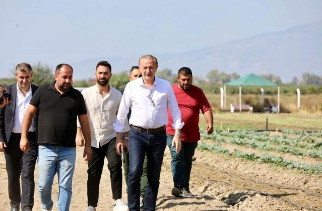 Didim Belediyesi, kışlık sebzelerin ekimine başladı