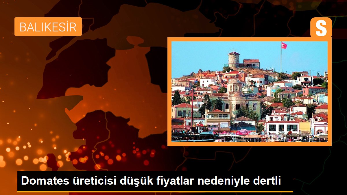 Domates üreticisi düşük fiyatlar nedeniyle dertli