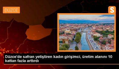 Düzce’de Safran Üretimi Yapan Kadın Girişimci Devlet Desteğiyle Üretim Alanını Genişletti