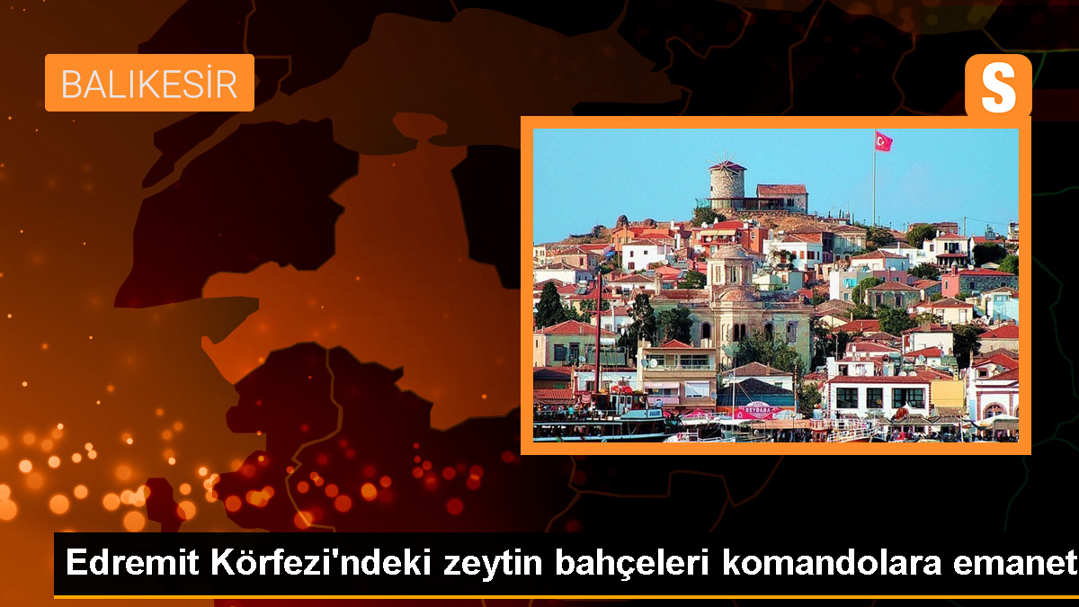 Edremit Körfezi'nde Zeytin Hırsızlıklarına Karşı Jandarma Tedbir Alıyor