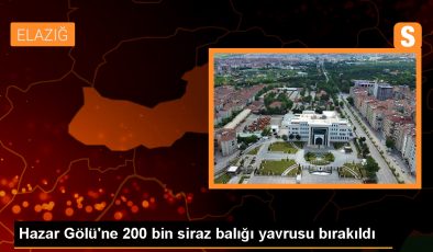 Elazığ Hazar Gölü’ne 200 Bin Yavru Siraz Balığı Takviyesi Yapıldı