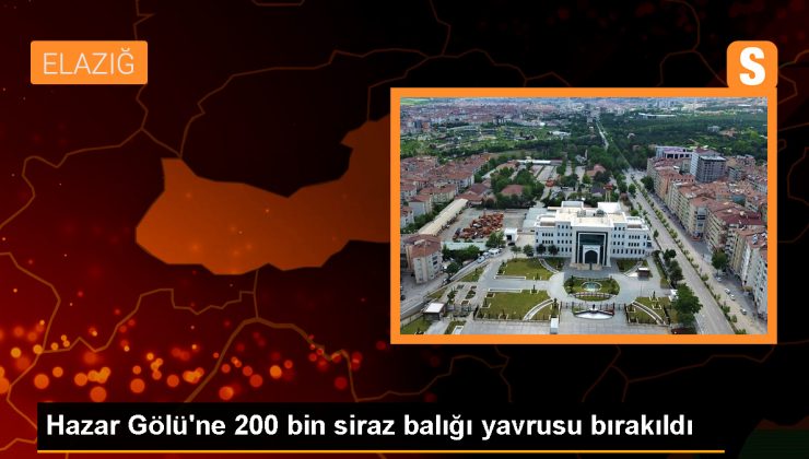 Elazığ Hazar Gölü’ne 200 Bin Yavru Siraz Balığı Takviyesi Yapıldı
