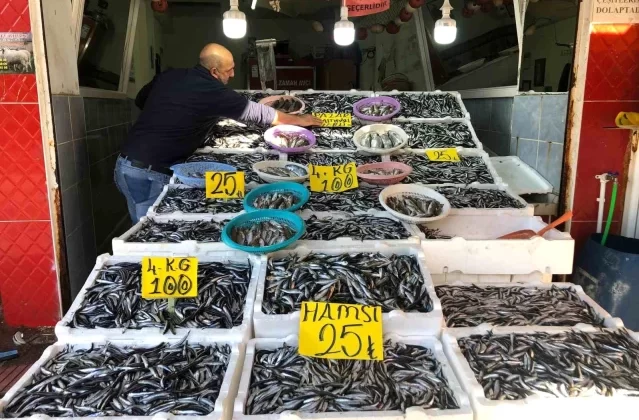 Hamside kampanya yaptı: 18 kiloluk hamsi kasasını 250 TL’den satışa çıkardı