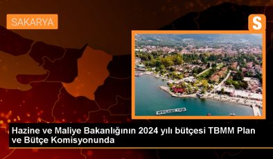 Hazine ve Maliye Bakanlığının 2024 yılı bütçesi TBMM Plan ve Bütçe Komisyonunda
