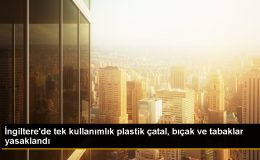 İngiltere’de Tek Kullanımlık Plastik Ürünlere Yasak Yürürlüğe Girdi