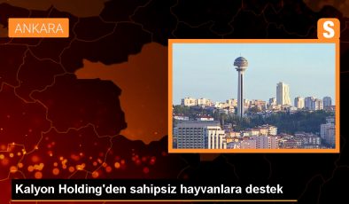 Kalyon Holding, sahipsiz hayvanları unutmadı