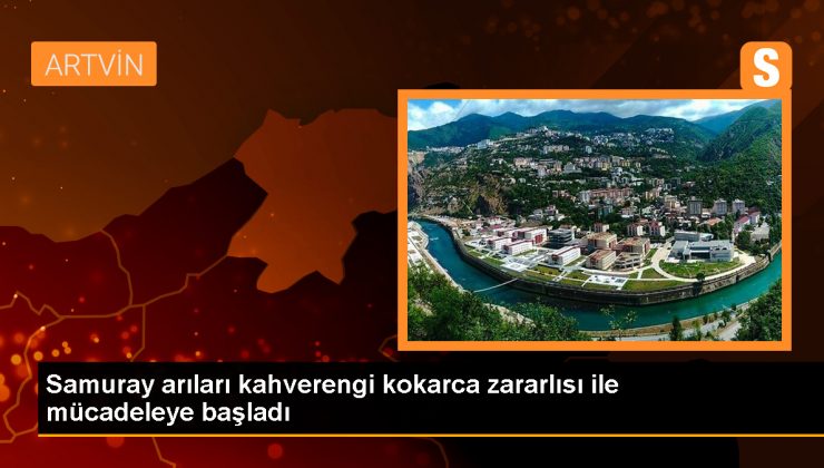 Karadeniz Tarımsal Araştırma Enstitüsü, kahverengi kokarca zararlısıyla mücadele için samuray arılarını doğaya salıyor