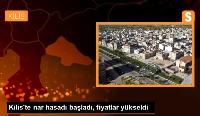 Kilis’te Nar Hasadı Başladı: Tarlada 10 TL, Markette 30 TL