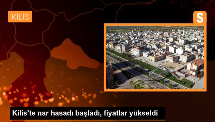 Kilis’te Nar Hasadı Başladı: Tarlada 10 TL, Markette 30 TL