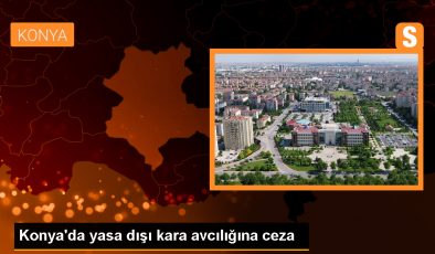 Konya’da Yasak Olan Bıldırcın Sesi Kullanarak Kara Avcılığı Yapan 2 Kişi Yakalandı