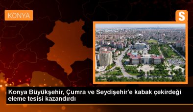 Konya’da kabak çekirdeği eleme tesisleri kuruldu