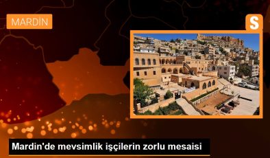 Mardin’de mevsimlik işçilerin zorlu mesaisi