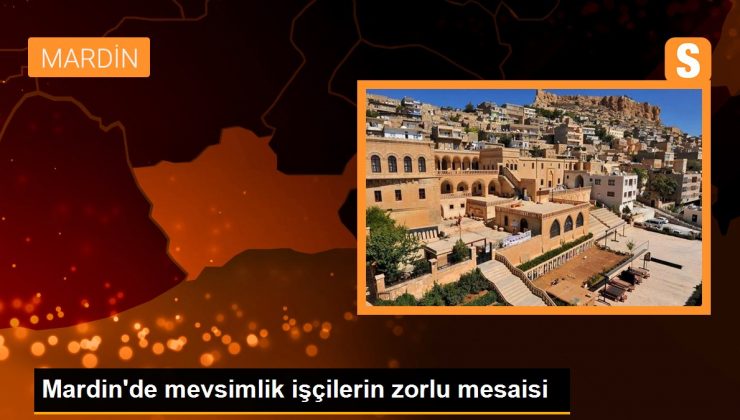 Mardin'de mevsimlik işçilerin zorlu mesaisi 1 Mardin’de mevsimlik işçilerin zorlu mesaisi