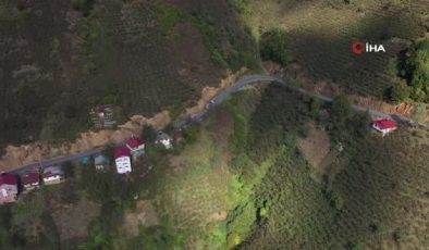 Ordu Büyükşehir, kırsalda asfalt çalışmalarını sürdürüyor