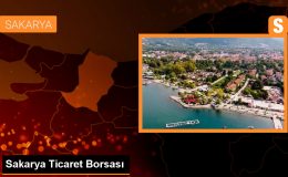 Sakarya Ticaret Borsasında Kabuklu Fındık Kilogramı 95,15 Liradan Satıldı