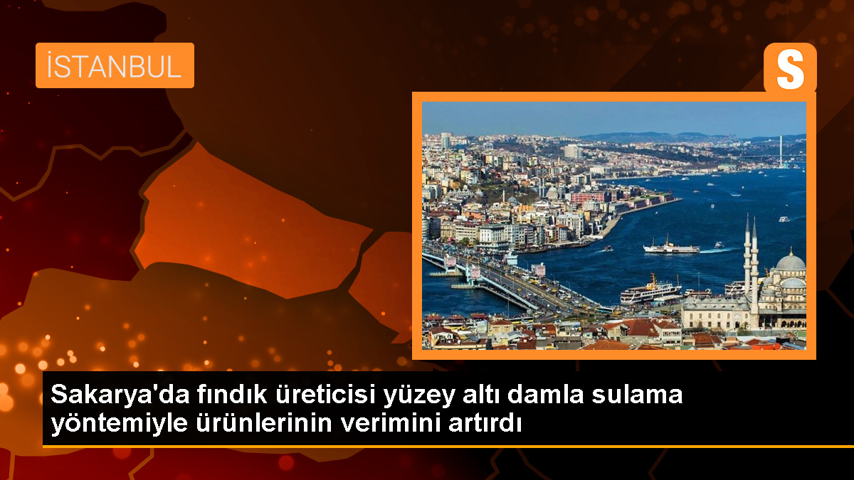 Sakarya'da Fındık Üreticisi Devlet Destekli Sulama Sistemiyle Verim Artırıyor
