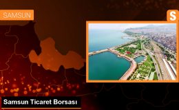 Samsun Ticaret Borsasında Kabuklu Fındık Kilogramı 93-109 Liradan Satıldı