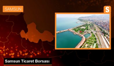 Samsun Ticaret Borsasında Kabuklu Fındık Kilogramı 93-109 Liradan Satıldı