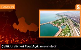 Samsun’da Çeltik Üreticileri Fiyat Açıklaması İstedi