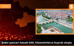 Şeker pancarı hasadı bitti, kilometrelerce kuyruk oluştu