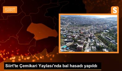 Siirt’te 2 bin 47 rakımlı Çemikare Yaylası’nda bal hasadı yapıldı
