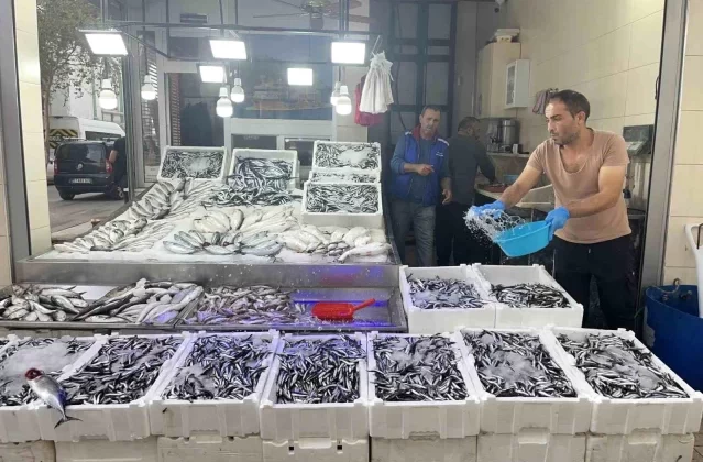 Sinop Hamsisi Balık Sezonunda Yarı Fiyata Düştü