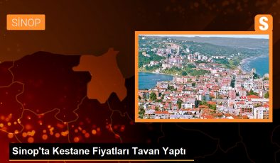 Sinop’ta Kestane Fiyatları Tavan Yaptı