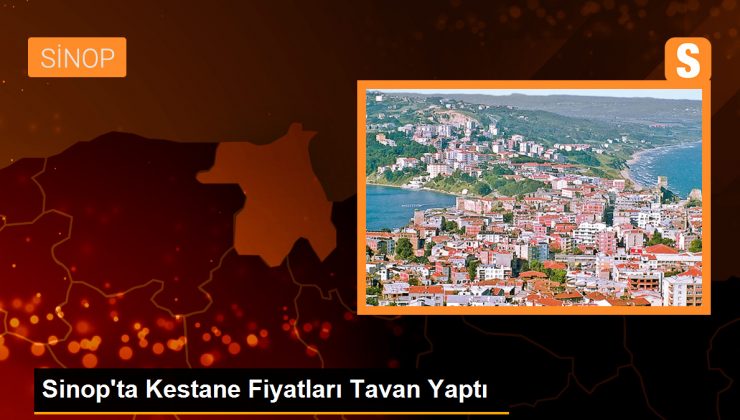Sinop’ta Kestane Fiyatları Tavan Yaptı