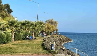 Sinop’un dış ticareti Ağustos ayında yüzde 26,1 arttı