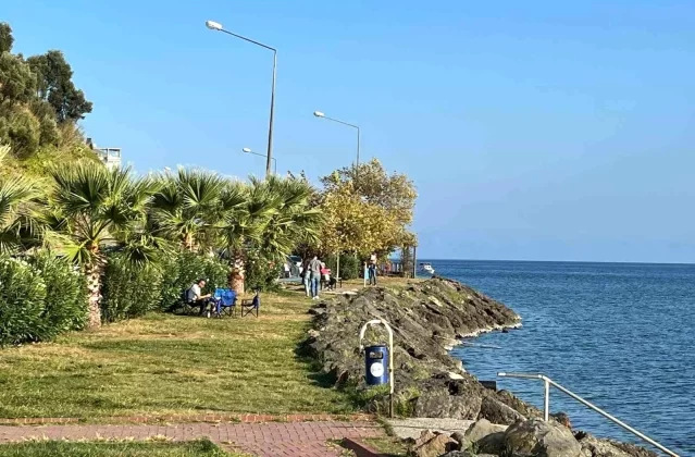 Sinop'un dış ticareti Ağustos ayında yüzde 26,1 arttı 1 Sinop’un dış ticareti Ağustos ayında yüzde 26,1 arttı