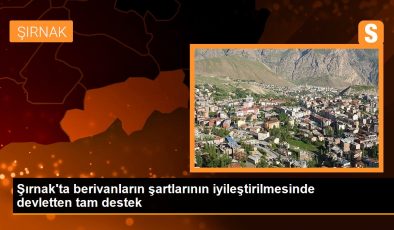 Şırnak’ta berivanların şartlarının iyileştirilmesinde devletten tam destek