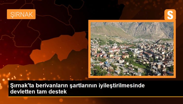 Şırnak’ta berivanların şartlarının iyileştirilmesinde devletten tam destek