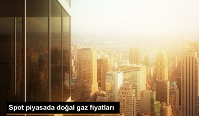 Spot Doğal Gaz Piyasasında Referans Fiyat 10 Bin 936 Lira 98 Kuruş