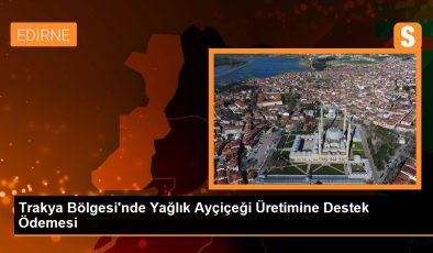 Trakya Bölgesi'nde Yağlık Ayçiçeği Üretimine Destek Ödemesi
