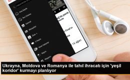Ukrayna, Moldova ve Romanya ile tahıl ihracatı için ‘yeşil koridor’ kurmayı planlıyor