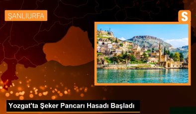 Yozgat’ta Şeker Pancarı Hasadı Başladı