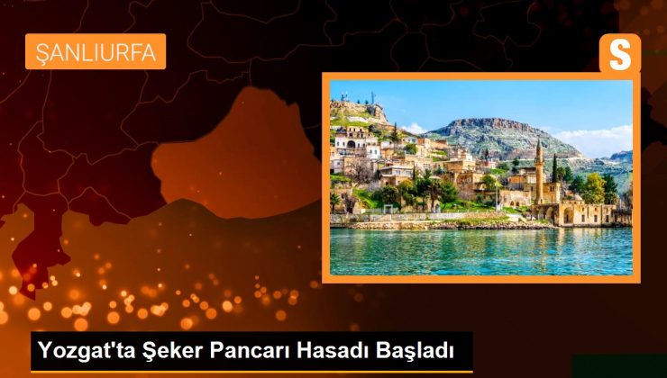 Yozgat’ta Şeker Pancarı Hasadı Başladı
