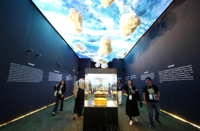 6. Çin Uluslararası İthalat Fuarı’nda Onur Konukları Sergilendi