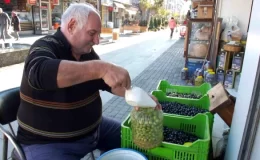 Balıkesir’de Kırma Zeytin Hazırlıkları Başladı