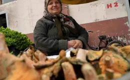 Bolu’da Sabriye Cihat, ormandan topladığı mantarları satarak aile ekonomisine katkı sağlıyor