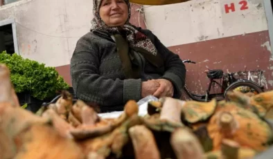 Bolu’da Sabriye Cihat, ormandan topladığı mantarları satarak aile ekonomisine katkı sağlıyor