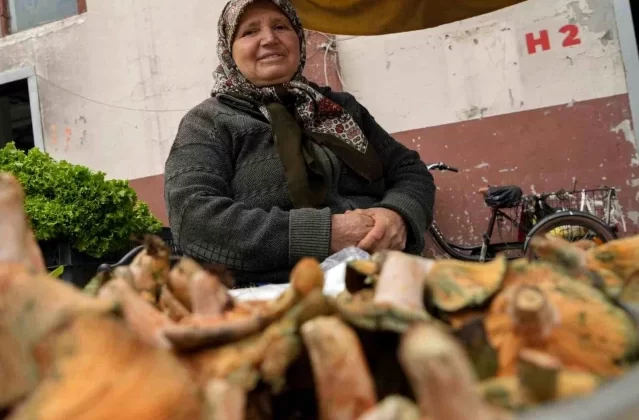 Bolu'da Sabriye Cihat, ormandan topladığı mantarları satarak aile ekonomisine katkı sağlıyor 1 Bolu’da Sabriye Cihat, ormandan topladığı mantarları satarak aile ekonomisine katkı sağlıyor