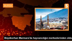 Buyukorhan-Marmarada-hayvanciligin-merkezlerinden-oldu.jpg