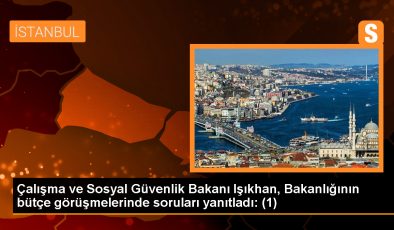 Çalışma ve Sosyal Güvenlik Bakanı: Asgari Ücretli Sayısı Abartılıyor