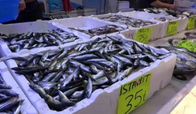 Denizlerde Hamsi Bolluğu Devam Ediyor, Balıkçılar Farklı Türlerin Çıkmasını Bekliyor