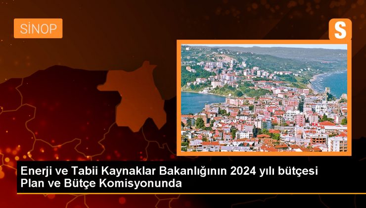 Enerji ve Tabii Kaynaklar Bakanlığının 2024 yılı bütçesi Plan ve Bütçe Komisyonunda