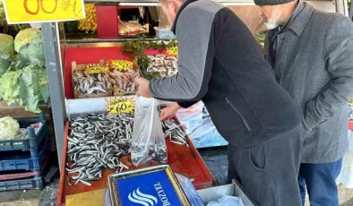 Fırtına Balık Fiyatlarını Etkilemedi – Son Dakika