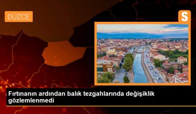 Fırtınanın ardından balık tezgahlarında değişiklik gözlemlenmedi