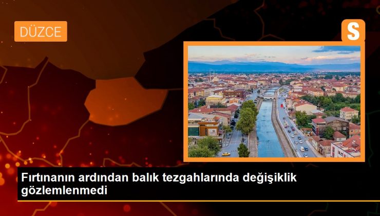 Fırtınanın ardından balık tezgahlarında değişiklik gözlemlenmedi 1 Fırtınanın ardından balık tezgahlarında değişiklik gözlemlenmedi